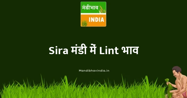 Lint भाव