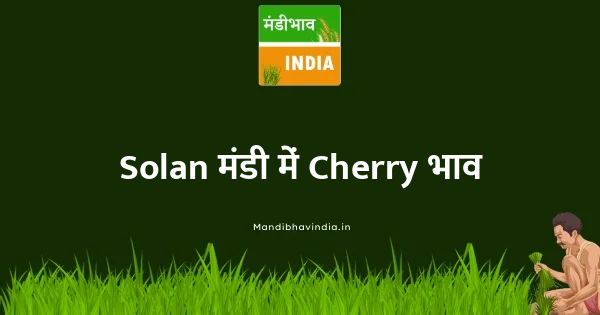 Cherry भाव