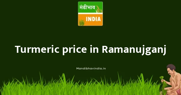 Turmeric price