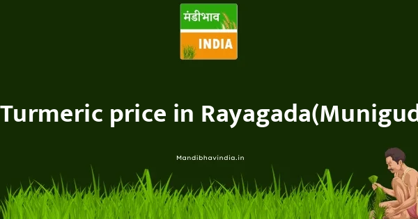 Turmeric price