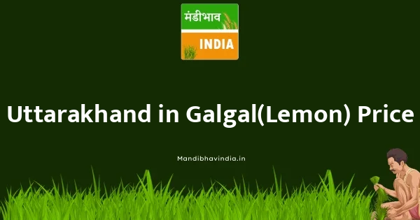 Galgal(Lemon) भाव