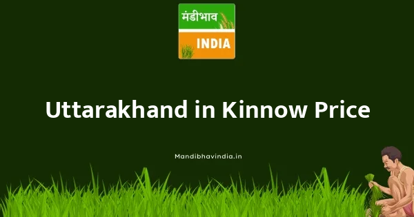 Kinnow भाव