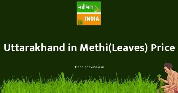 Methi(Leaves) भाव