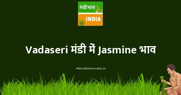 Jasmine भाव