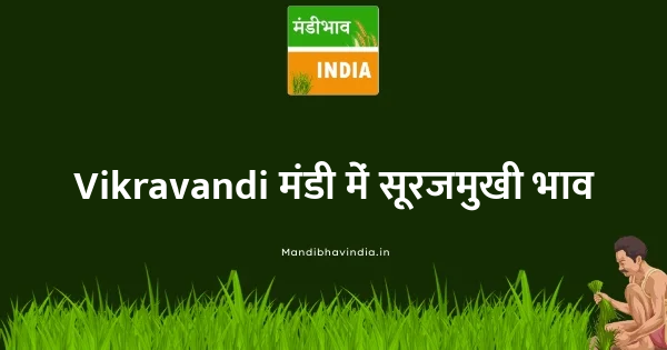 Sunflower भाव