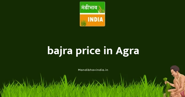 bajra price