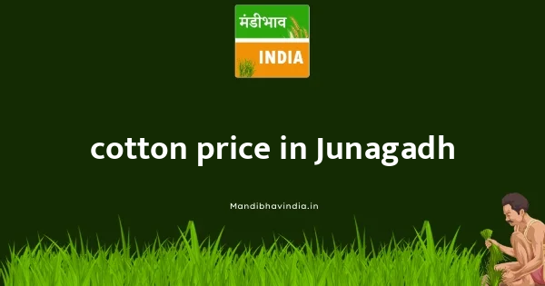 cotton price