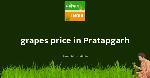 grapes price