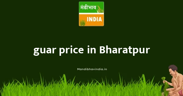 guar price