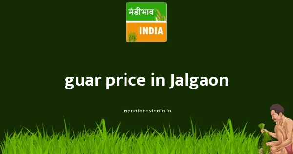 guar price