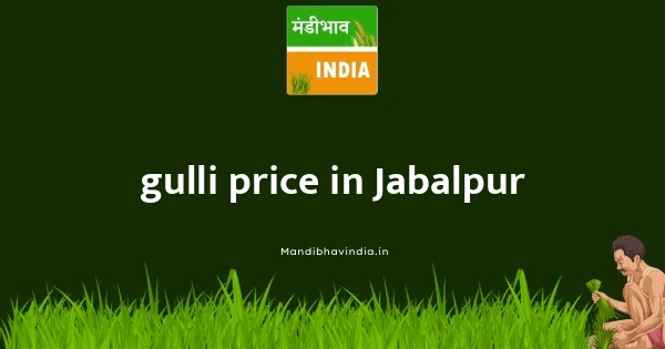 gulli price