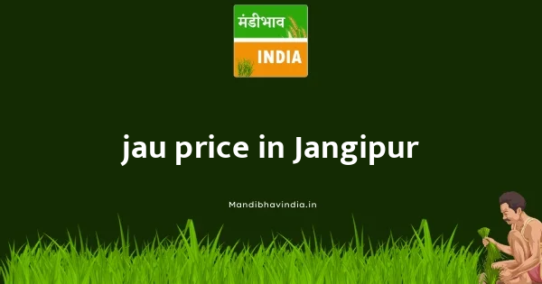 jau price