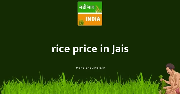 rice price