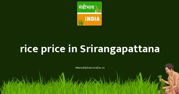 rice price