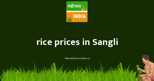 rice price