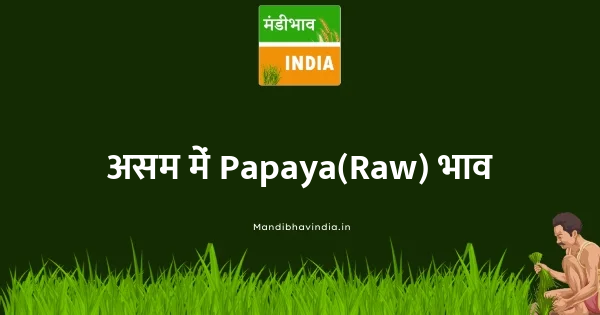 Papaya(Raw) भाव