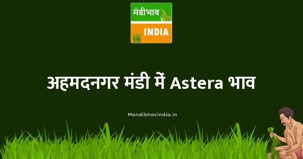 Astera भाव