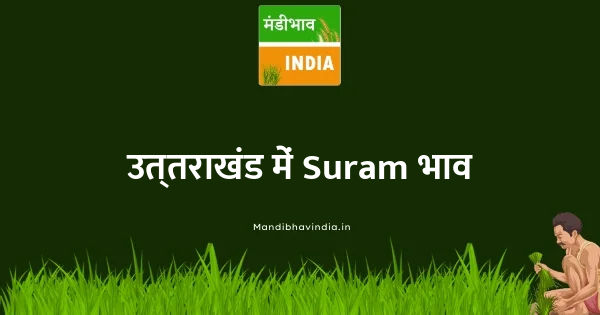Suram भाव
