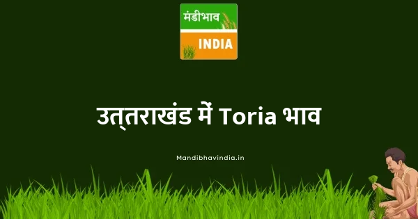 Toria भाव