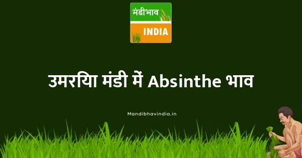 Absinthe भाव