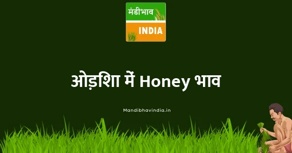 Honey भाव