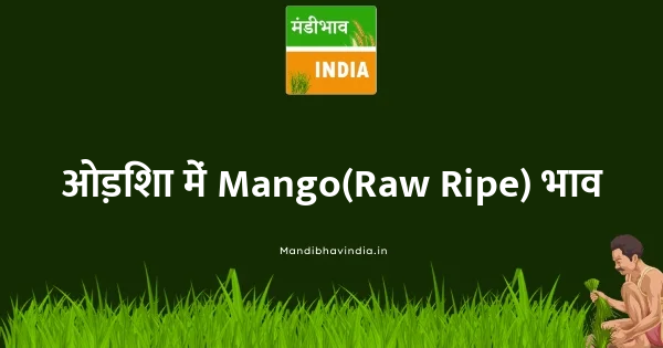 Mango(Raw-Ripe) भाव