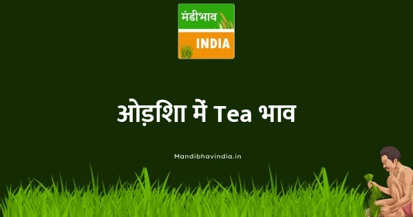 Tea भाव