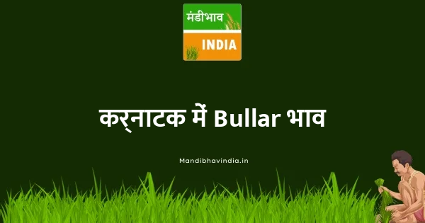 Bullar भाव