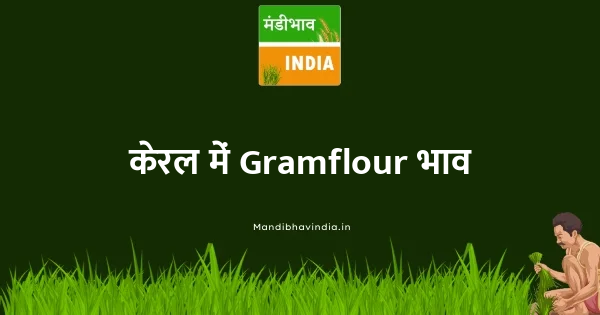 Gramflour भाव