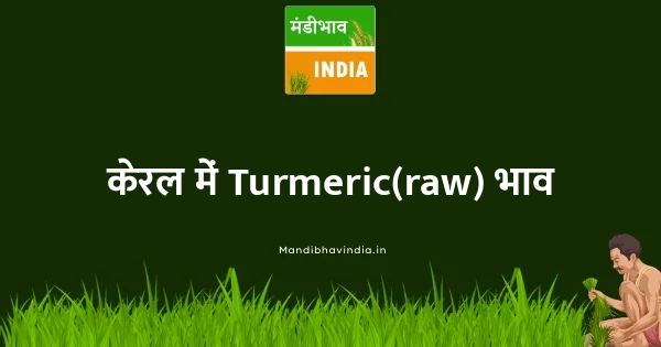 Turmeric(raw) भाव