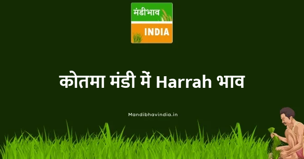 Harrah भाव