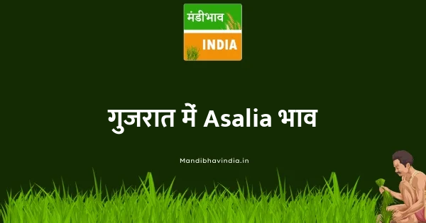 Asalia भाव