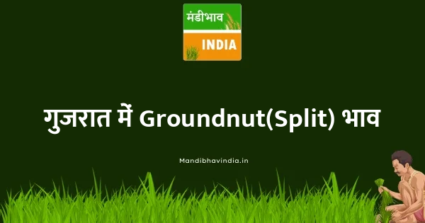 Groundnut(Split) भाव