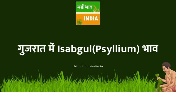 Isabgul(Psyllium) भाव