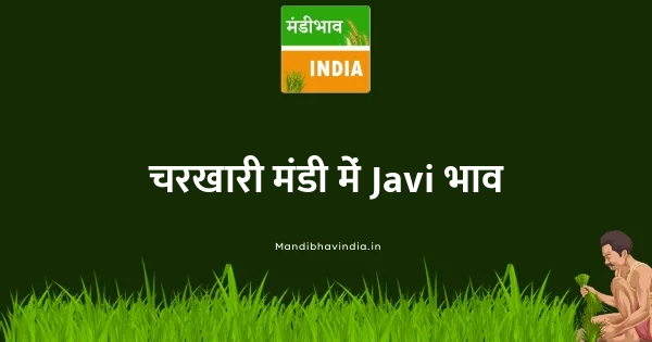 Javi भाव