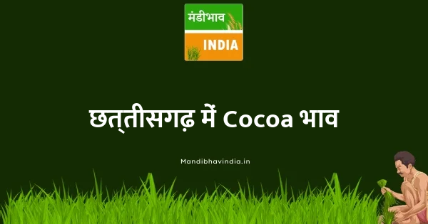 Cocoa भाव
