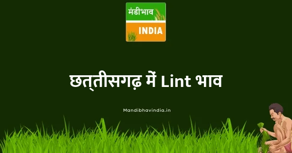 Lint भाव