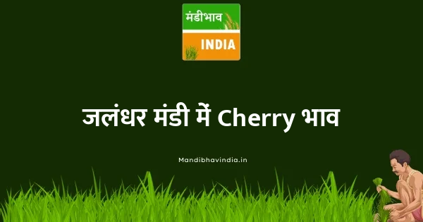 Cherry भाव