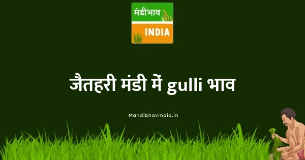 gulli भाव