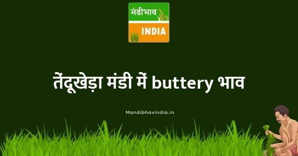 buttery भाव