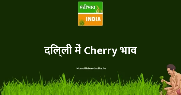 Cherry भाव