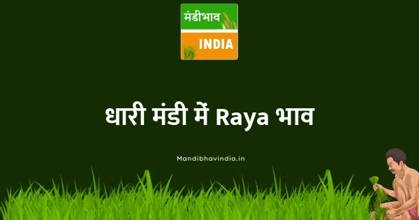 Raya भाव