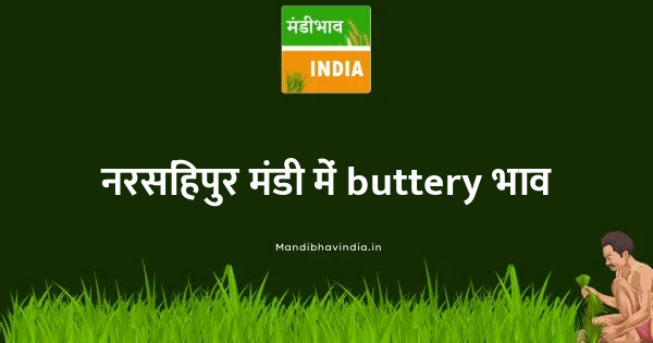 buttery भाव