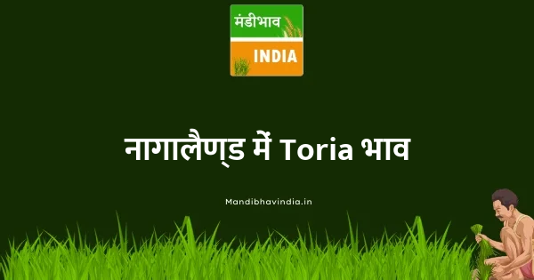 Toria भाव