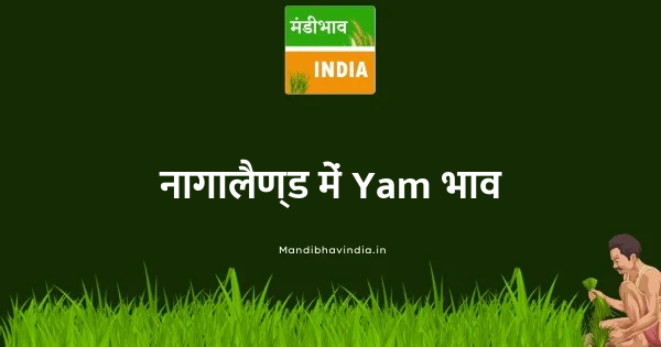 Yam भाव