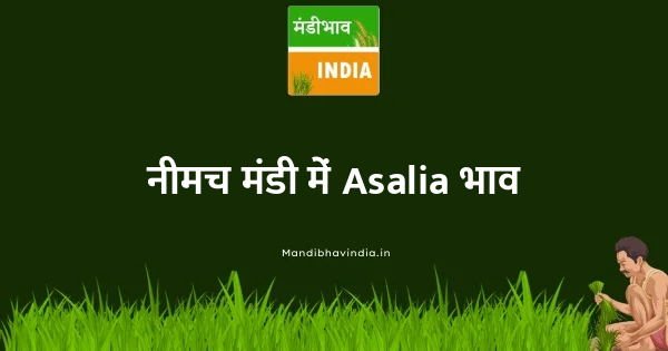 Asalia भाव