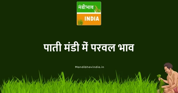 Pointed Gourd (Parval) भाव