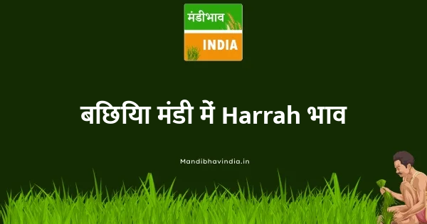 Harrah भाव