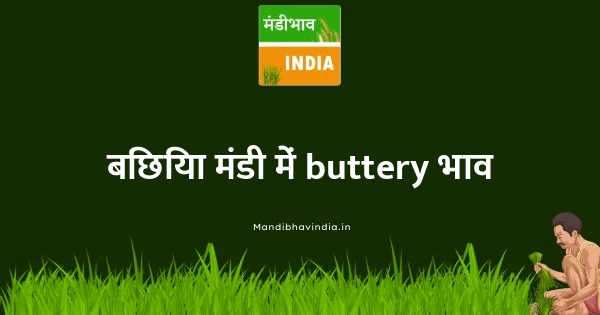 buttery भाव