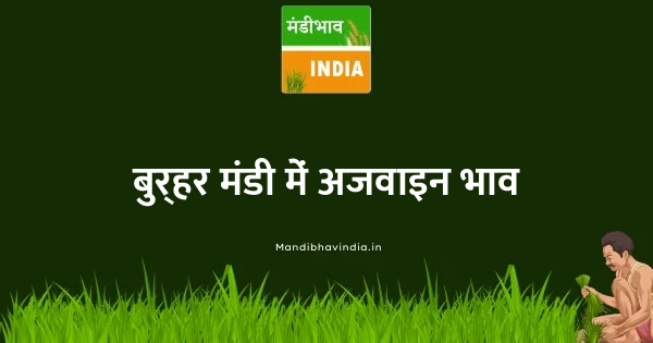 Ajwain भाव